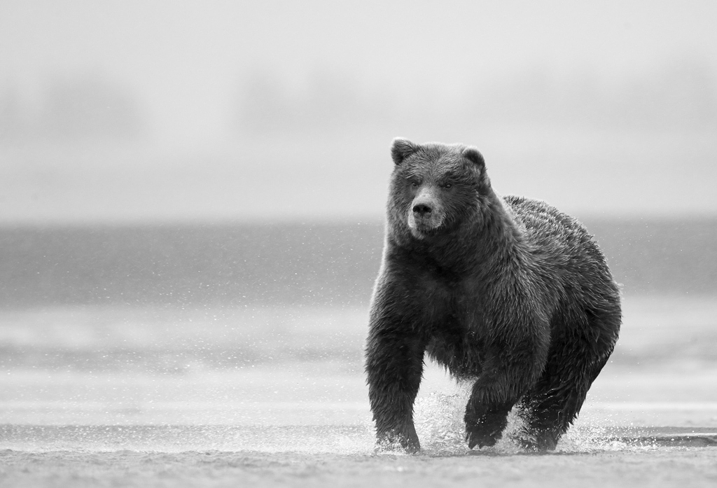 Mark Sissons Smethwick Photographic Society